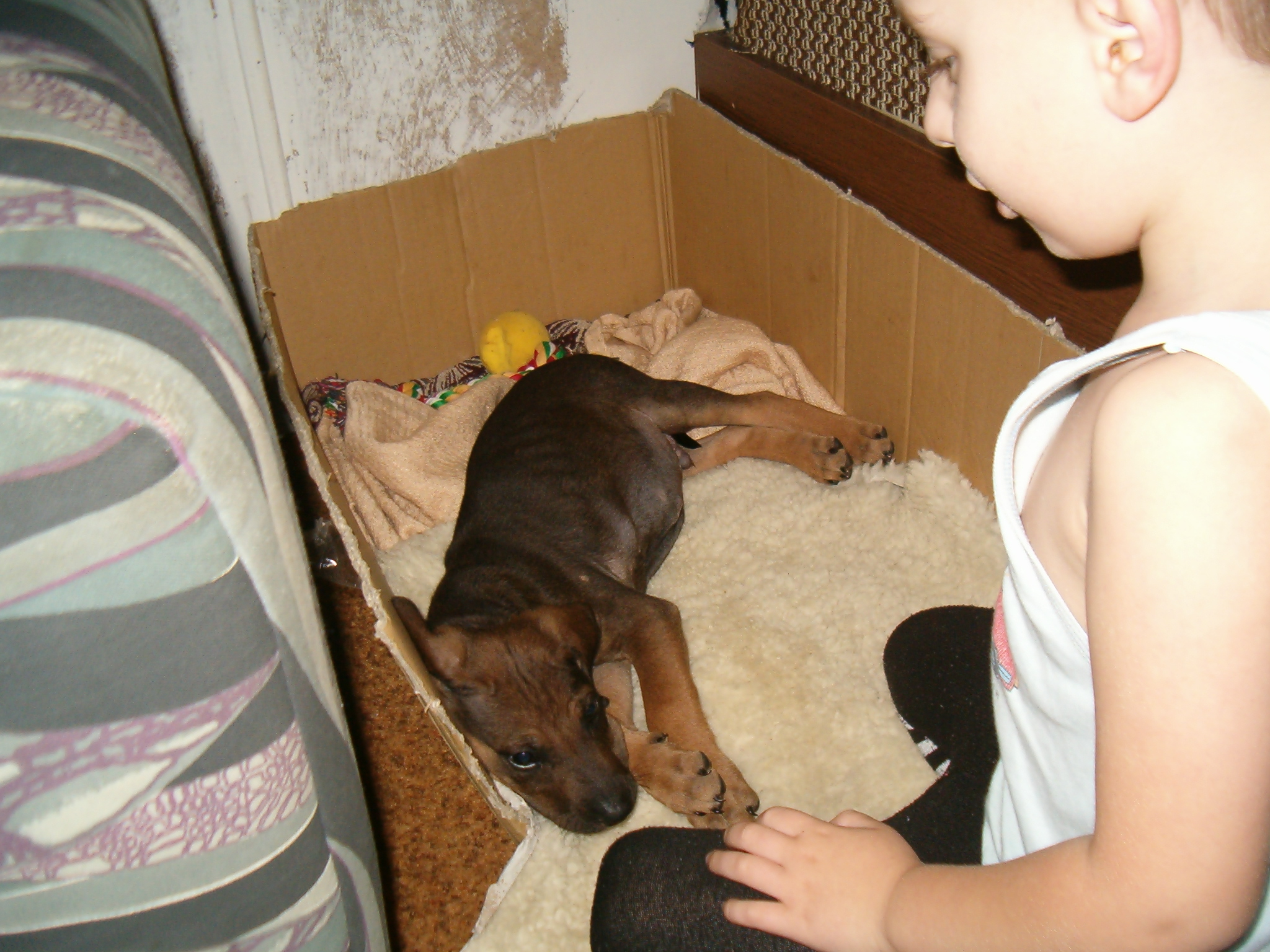 HPIM3668.JPG